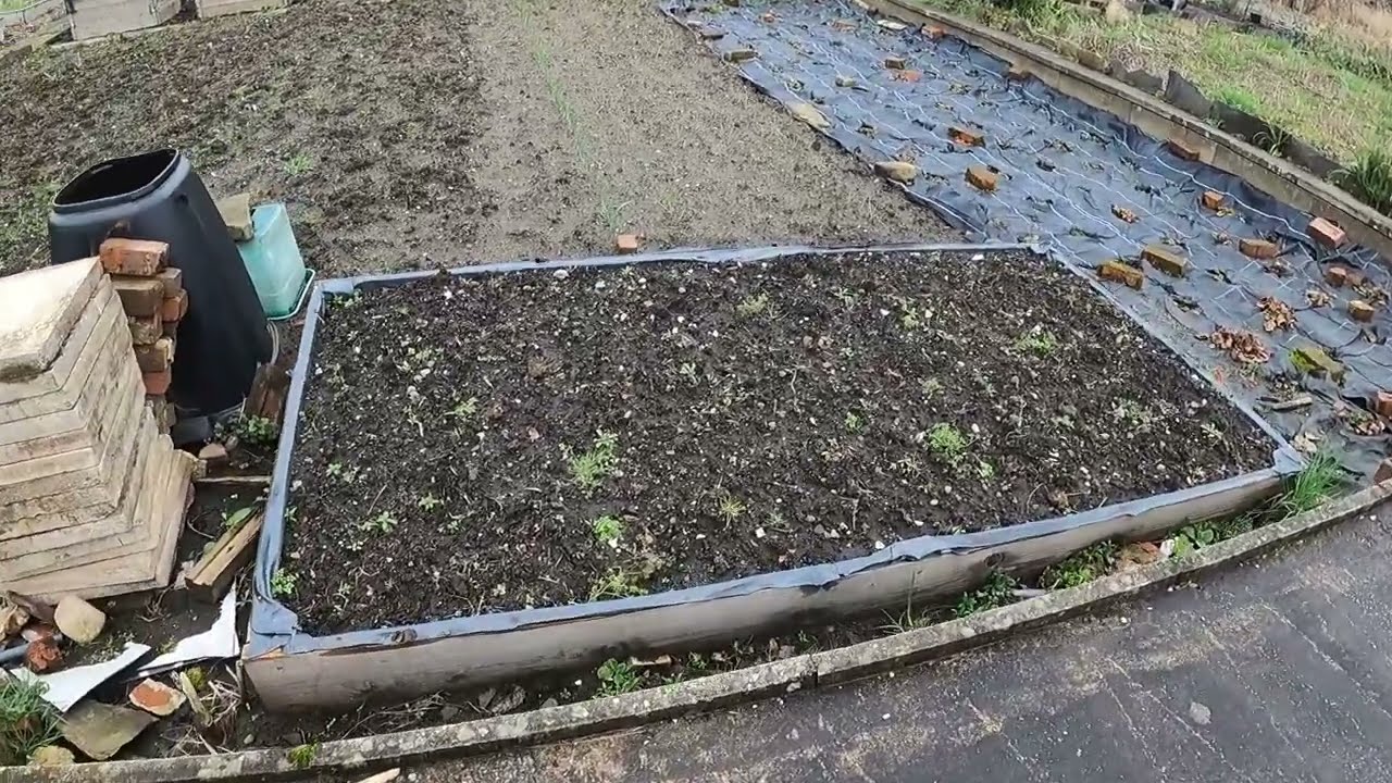 Getting My Allotment Ready for the New Season | Raised Bed Gardening & Soil Prep (UK) Early Spring S