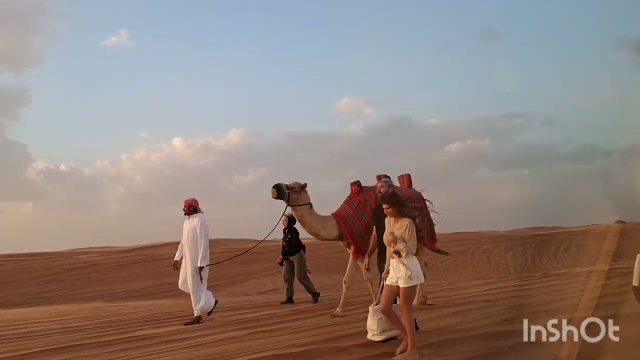 Day 2 in Dubai|Desert Safari|Dune Bashing|Horse Show|Amazing experience|Vacaymode|Family time|