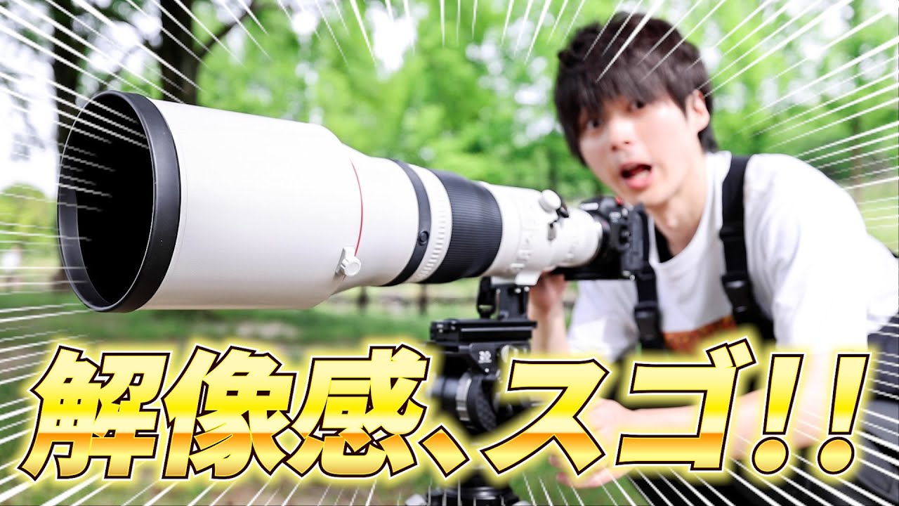 【AF爆速】このレンズ、相当ヤバい！！！！！