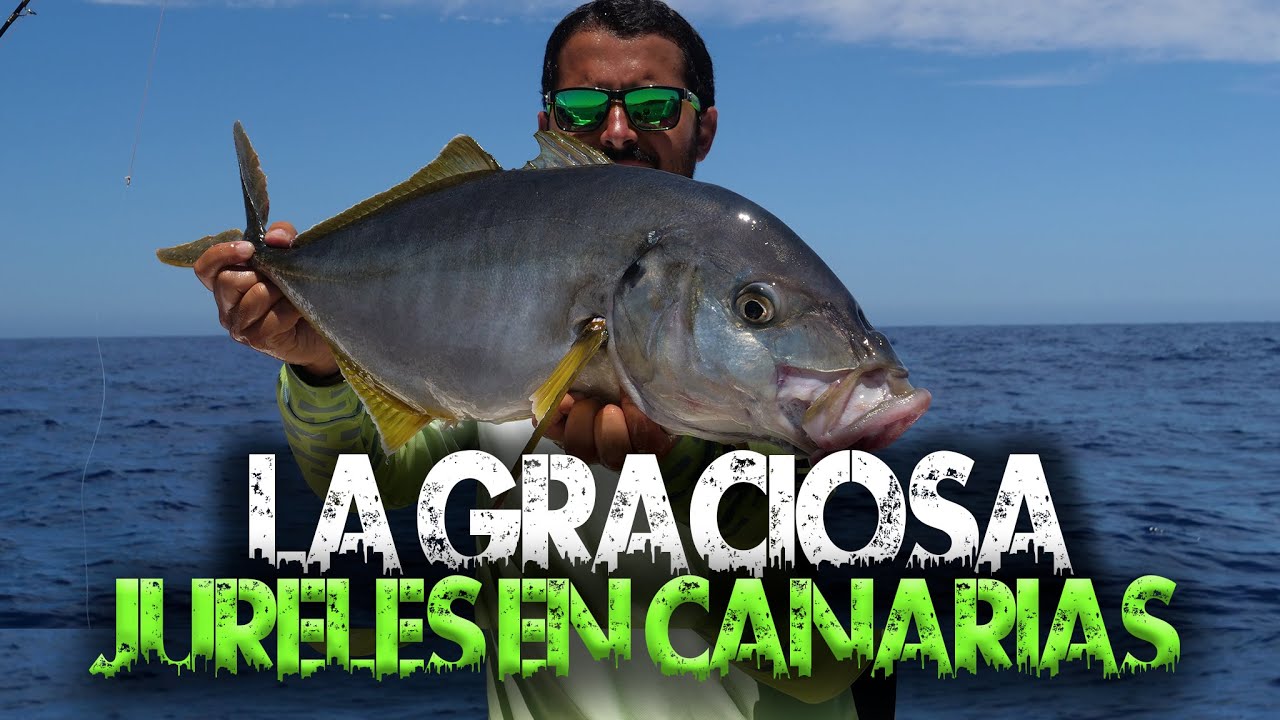 PESCA DE JURELES | ISLA LA GRACIOSA | JIGGING EN CANARIAS | SEARIVER FISHING | VIAJES DE PESCA