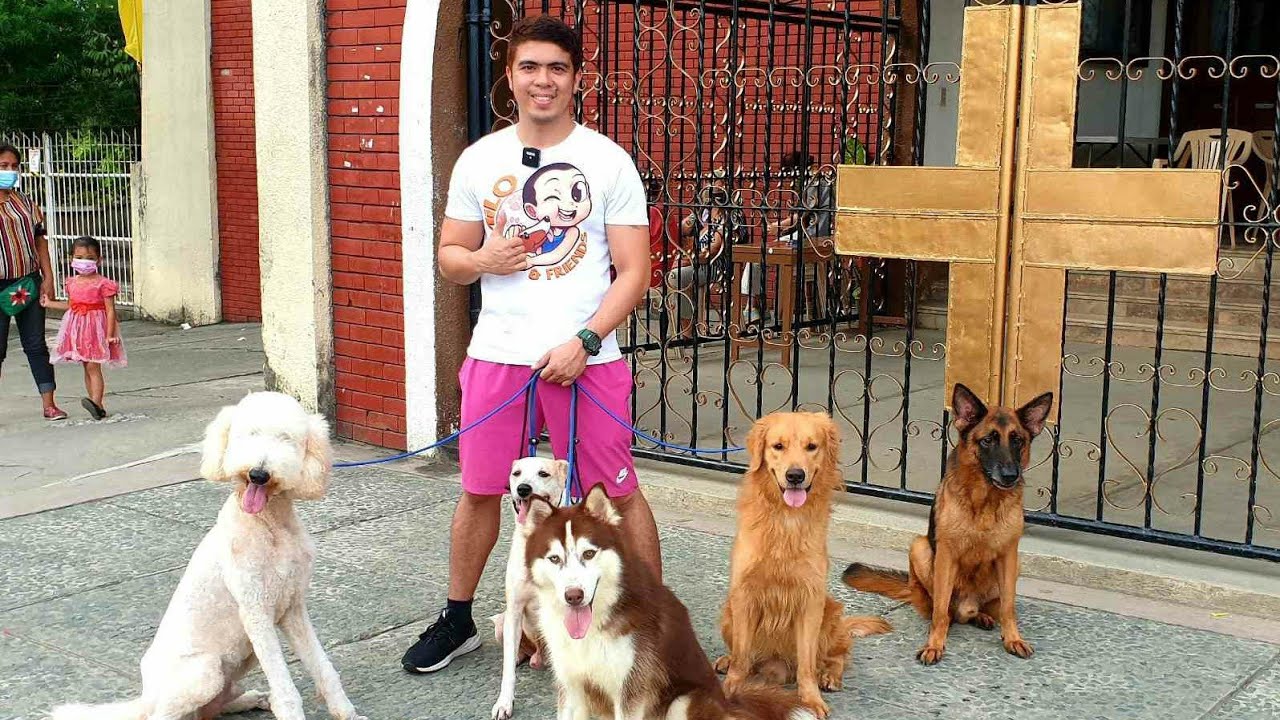 PAANO KO PINAPASUNOD ANG MGA BIG DOGS