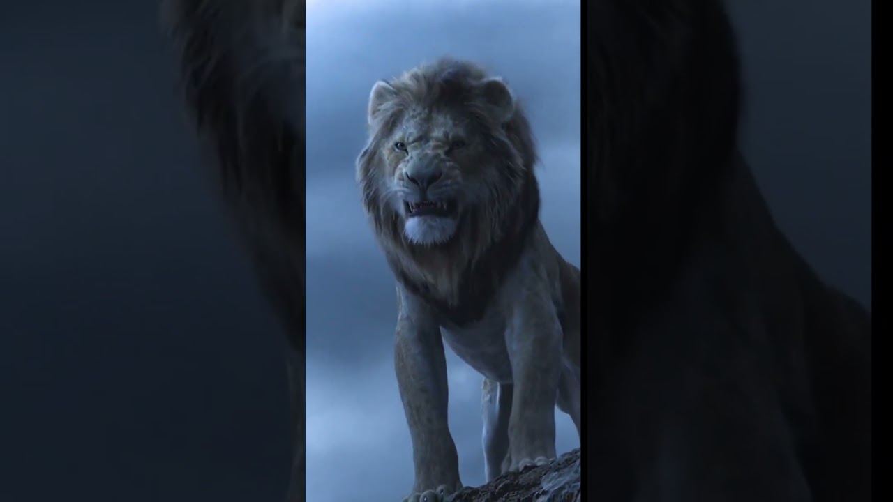 Why Only Lion King of The Jungle?