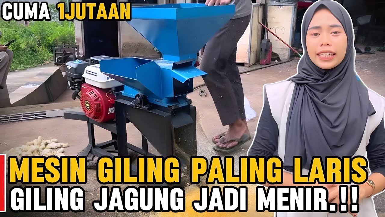 Mesin Giling Jagung Paling Laris, Cocok untuk Peternak dan UMKM.!!