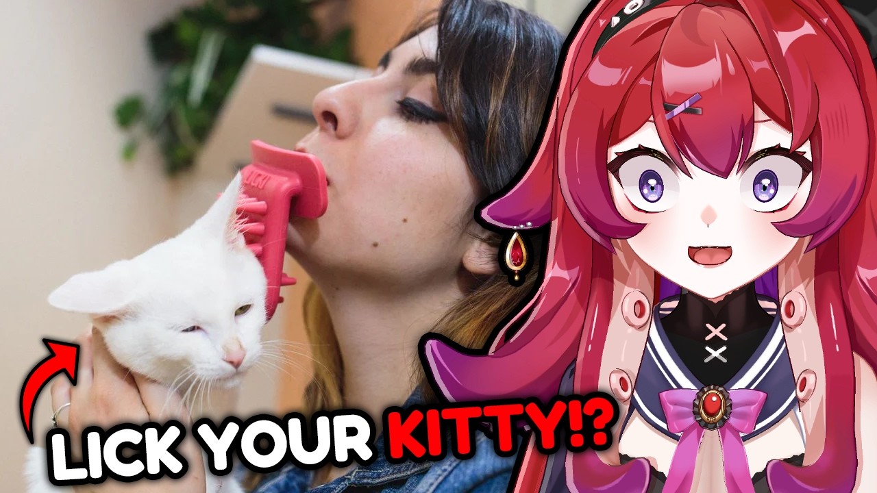 Худшие продукты, созданные участниками KICKSTARTER, были просто безумными...