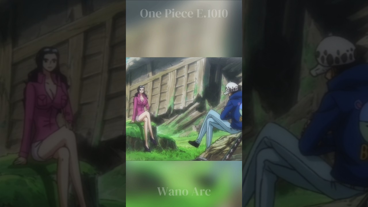 Law Tells Robin His Real Name ‼️ #onepiece #onepieceedit #anime #shorts #fyp #foryou #nicorobin #law