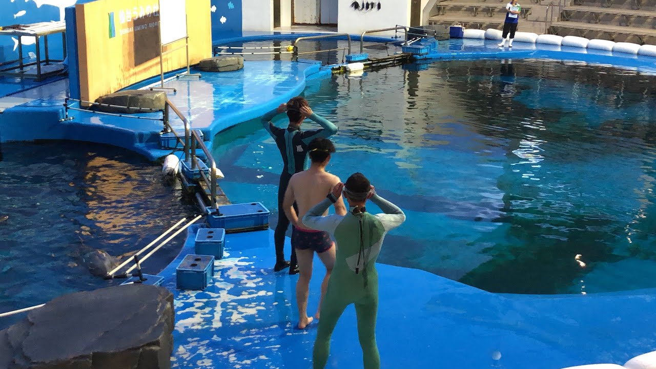 8周年祭限定パフォーマンス@仙台うみの杜水族館