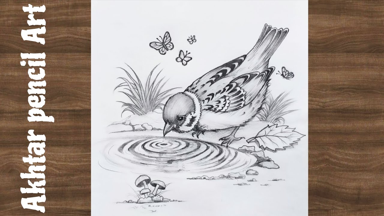 Easy Bird Pencil Drawing Step by Step for Beginners | How To Draw A Sparrow Pencil Art 