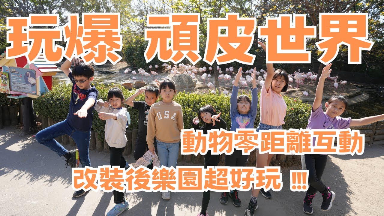 玩爆 !! 台南頑皮世界野生動物園｜親子互動絕佳點｜動物零距離互動｜改裝後樂園超好玩