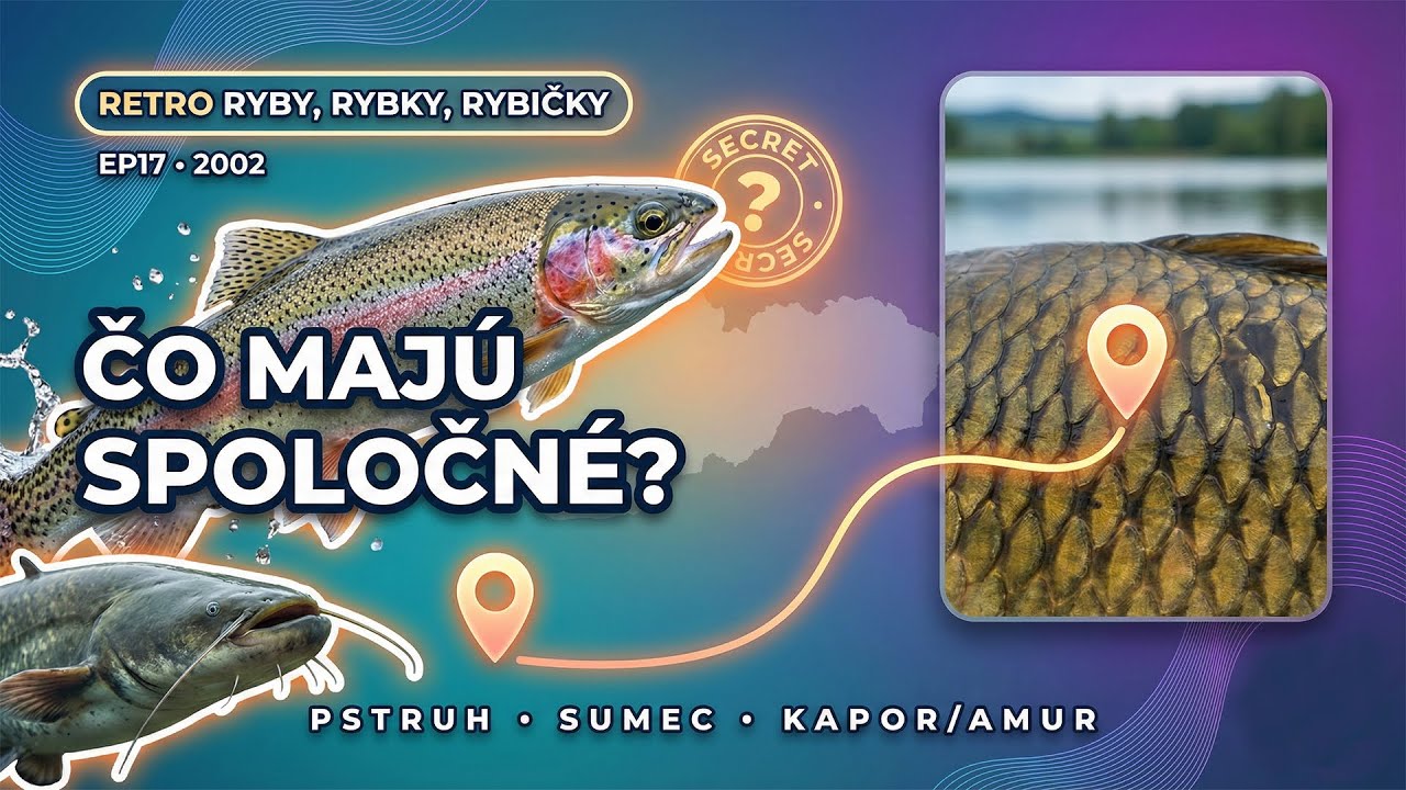 EP17 | Pstruh z Galovian + sumec zo Slepčian | Retro Ryby, Rybky, Rybičky (17/2002)