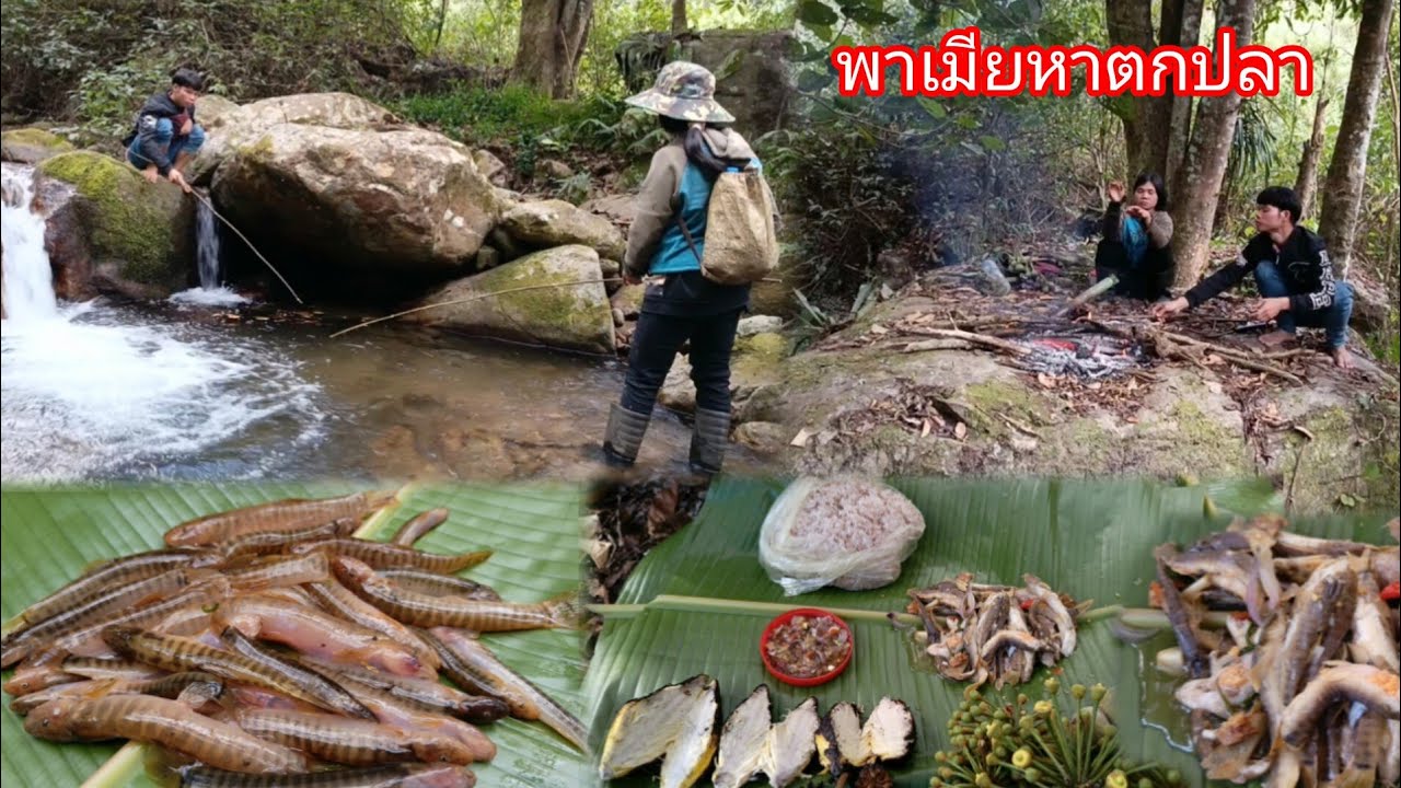 พาเมียหาอยู่หากินใช้ชีวิตในป่า เปลี่ยนบรรยากาศ ตกปลาตามน้ำห้วย-บ่าวยืง