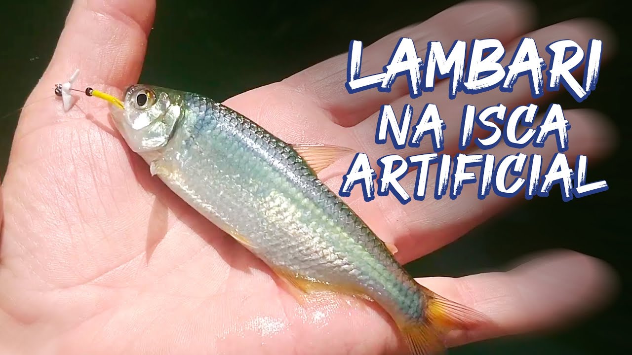 Pescaria de LAMBARI na ISCA ARTIFICIAL | Completo