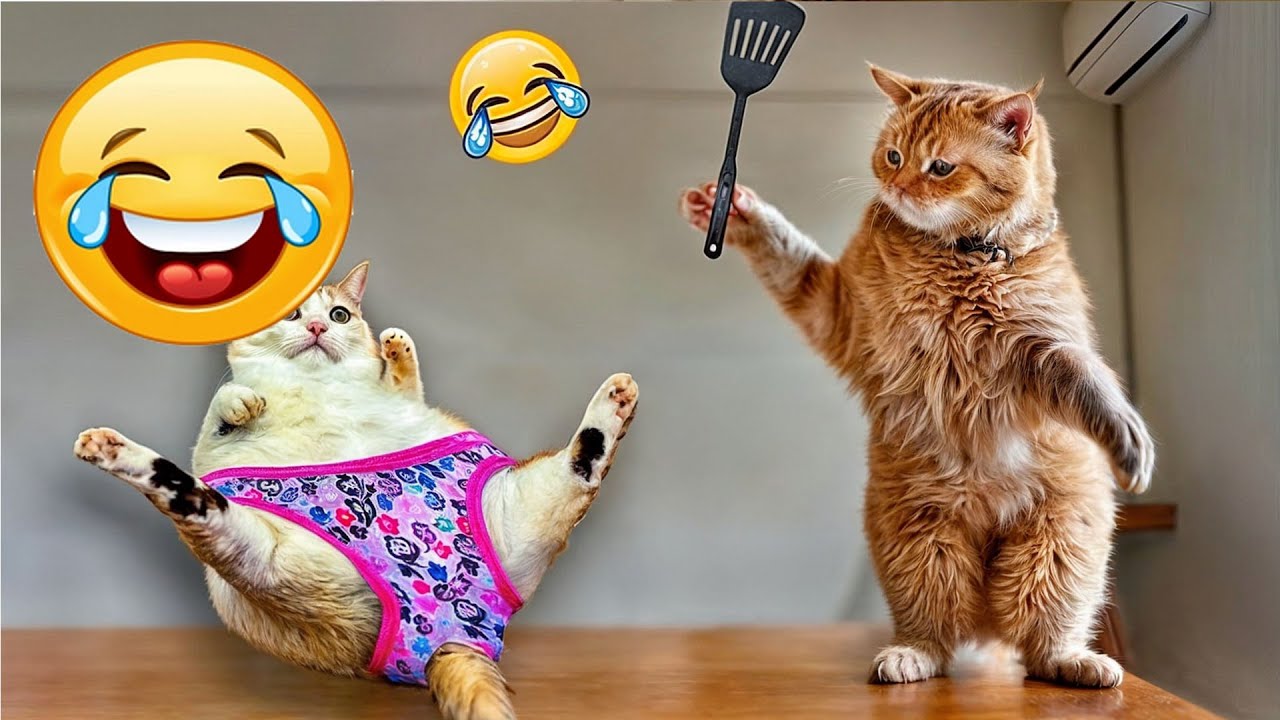 You Laugh You Lose 😹🐶 Funniest Cats and Dogs 2026 😏 Part #02