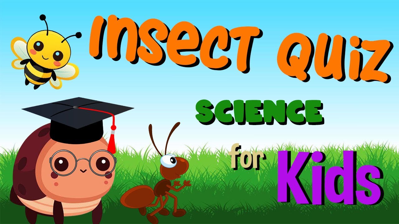 Insect Quiz | Science for Kids