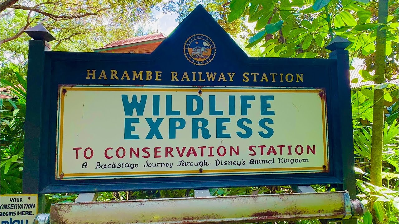 Wildlife Express 2023 Complete Ride in 4K - Disney’s Animal Kingdom
