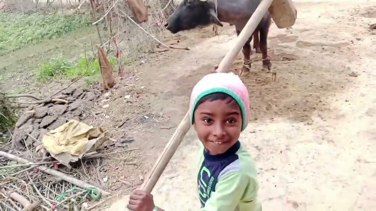 Ankush baj raha hai😃  | Balwant yadav vlogs #ankush #balwantvlog 