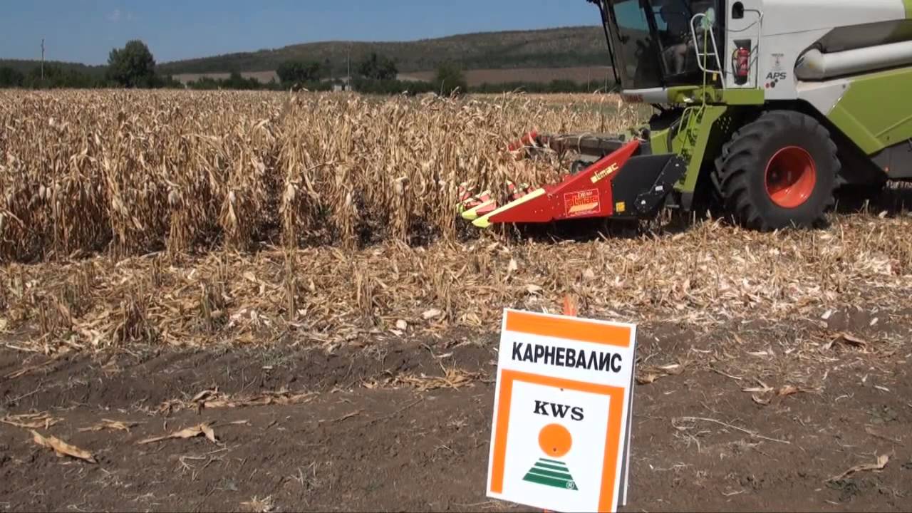 KWS  СЕИТБИ АПРИЛ 2013