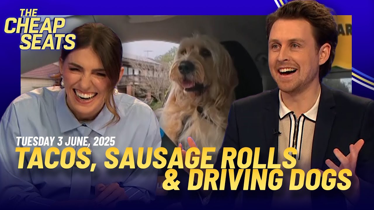 What Does 'TACO' Mean? Can Dogs Drive? #cheapseatsau