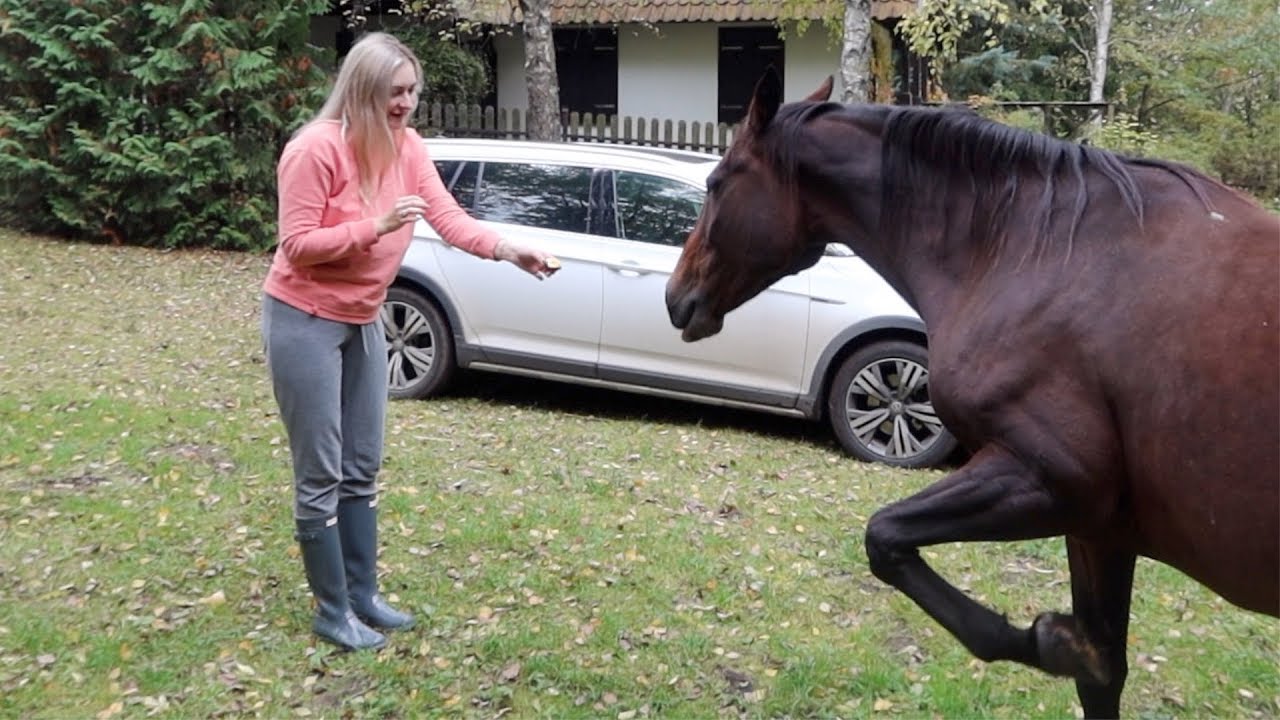 MAMY KONIA VLOGTOBER 5