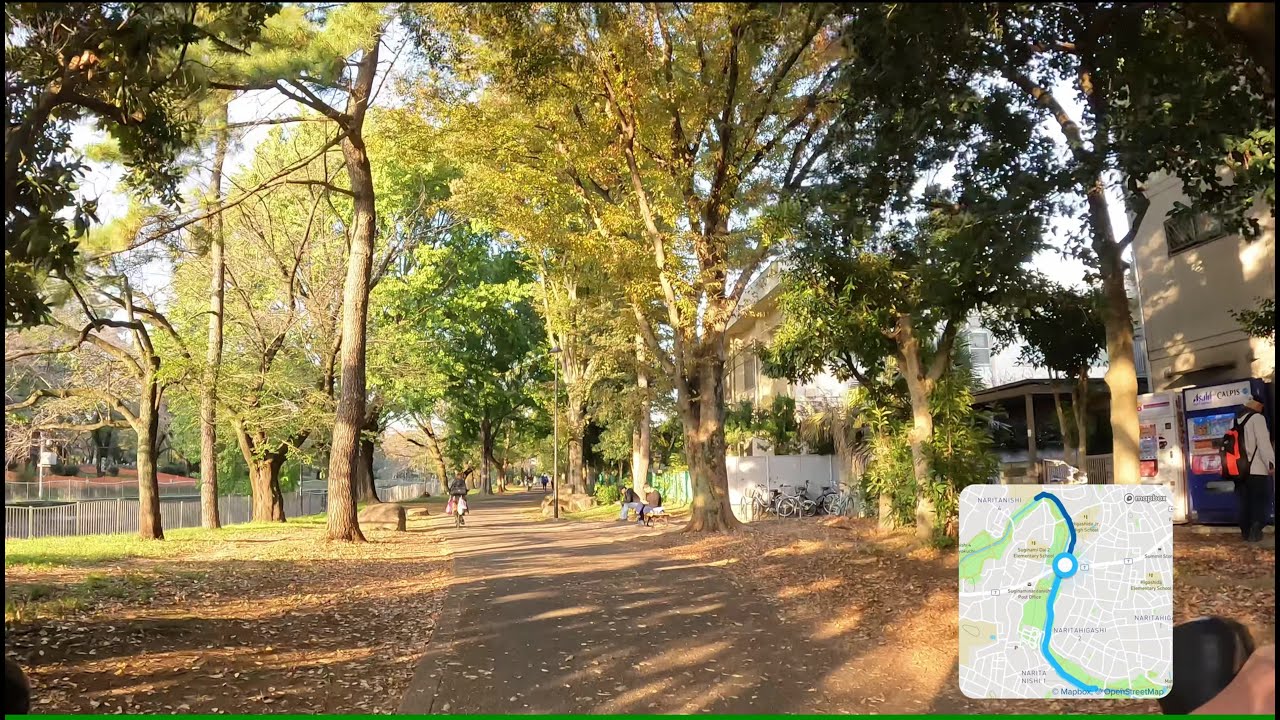 杉並区 永福町～荻窪 和田堀公園・善福寺緑川地  2024 11 13