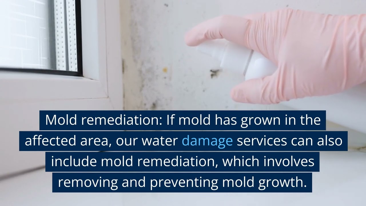 Best Water Damage Services In West Palm Beach, FL!