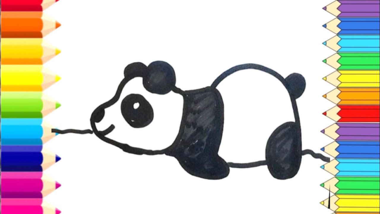 How to Draw a Cute Panda Step by Step 