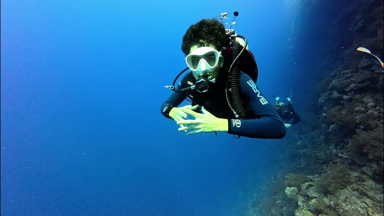 Scuba Diving at Elphinstone reef, Marsa Alam Egypt, Feb 2026