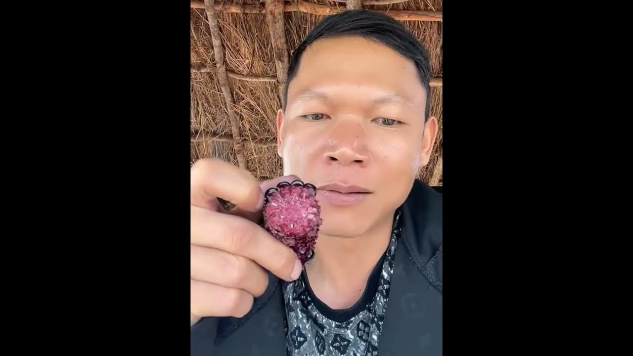 Linh Phillip Lo Sợ Ruộng Lúa Bị Phá Hoại 