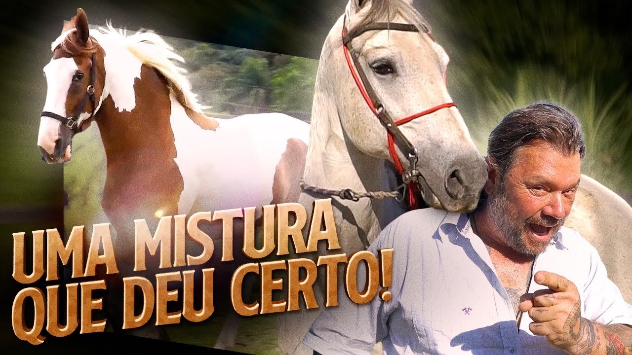 MANGOLINA, A MISTURA DO MANGA LARGA COM O CAMPOLINA!! | RICHARD RASMUSSEN