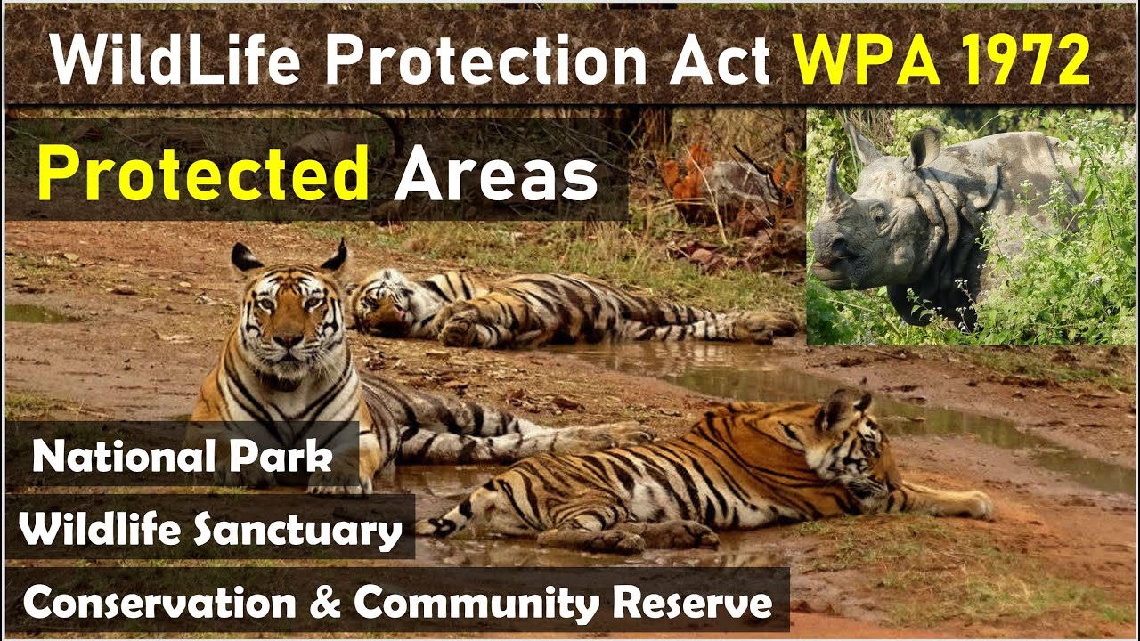 Protected Areas संरक्षित क्षेत्र  National Park Wildlife Sanctuary Conservation & Community Reserve
