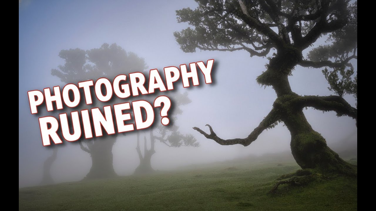 Is FANAL Forest FINISHED for Landscape Photography?