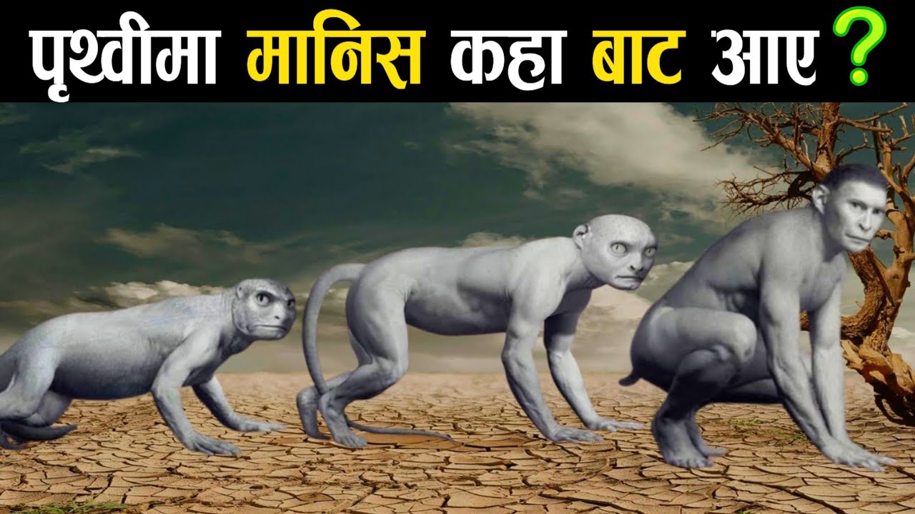 पृथ्वीमा मानिस कहाँ बाट आए || Theory of Evoluation || Human Evoluation Theory