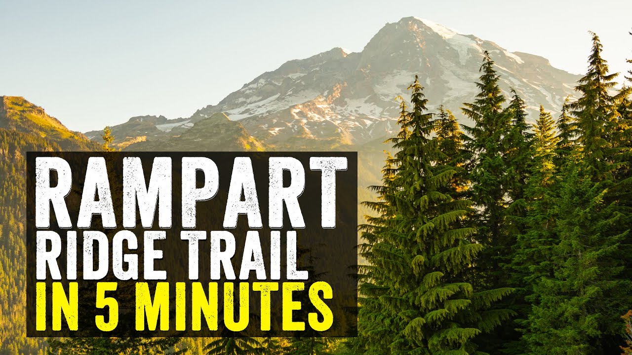 SHOULD you Hike the Rampart Ridge Loop in Mount Rainier National Park?