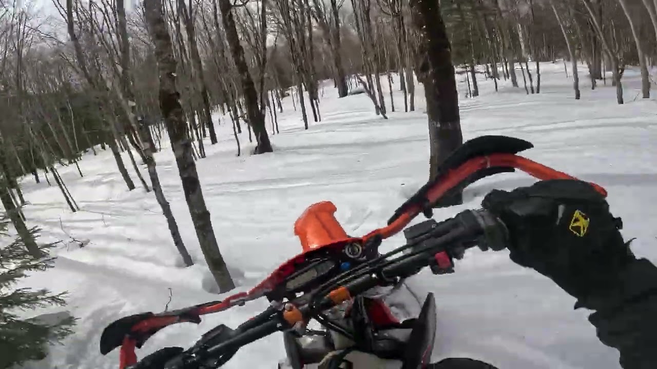 Timerbserled Ktm500
