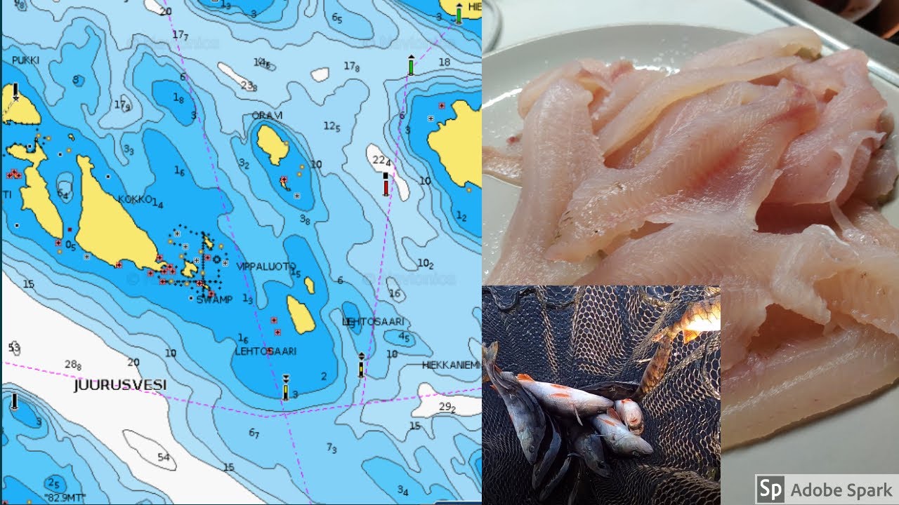 JUURUSVESI | AHVENIA JA KUHIA | VENEPILKINTÄ | AHVENENJIGIKALASTUS | UUSI VAPA | MICROBITE TWISTER
