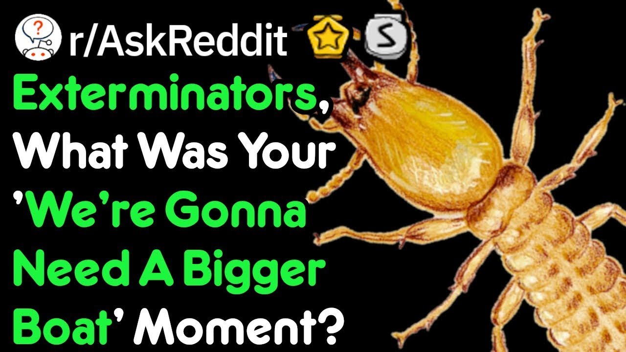 A Bug Exterminators Worst Nightmare