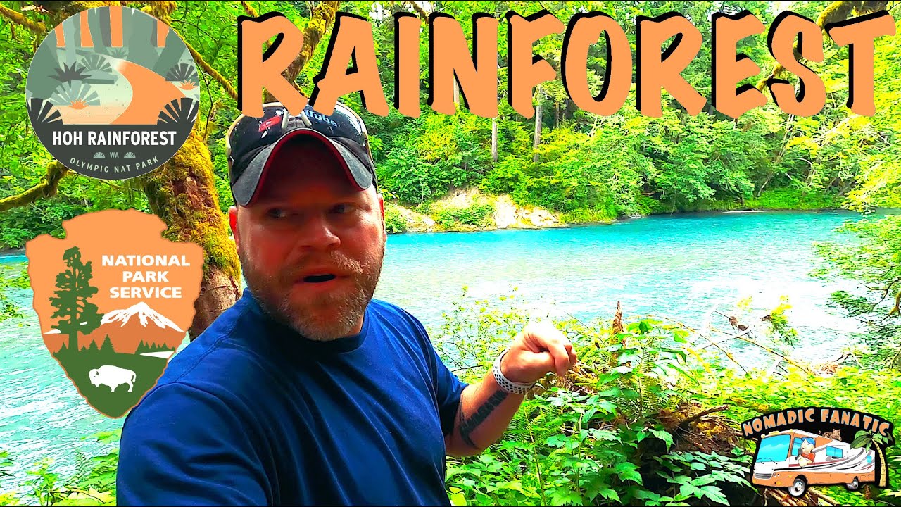 Hiking the Valley of the Rainforest Giants - Douglas Fir, Cedar & More!
