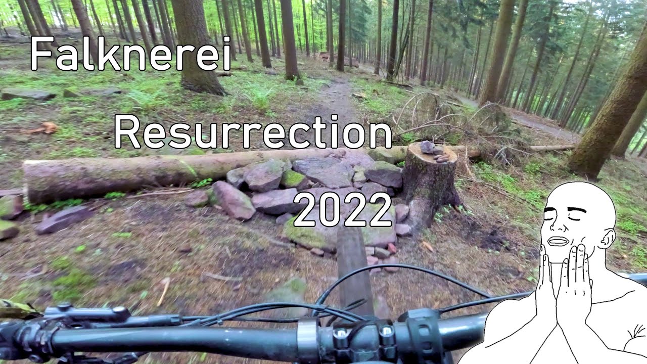Let's Ride MTB - Heidelberg // Falknerei Resurrection 2022
