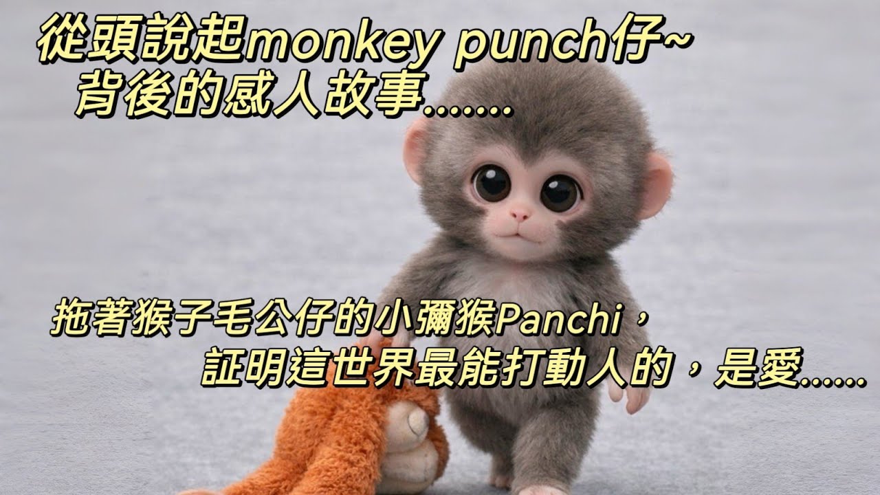 從頭說起monkey punch仔背後的感人故事...... 