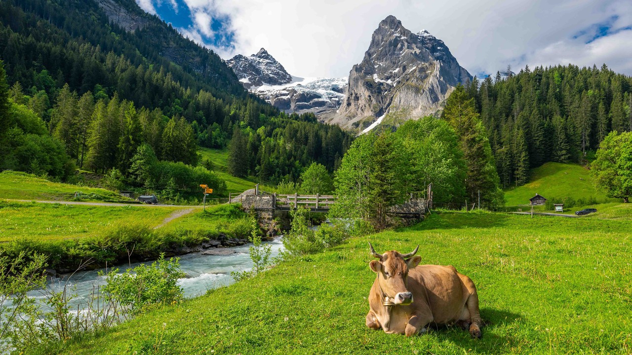 Alpzeit - das Leben auf der Alp Grindel  Gschwandtenmad Episode 1