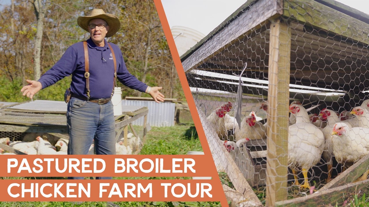 Joel Salatin's Regenerative Farm Tour - Pastured Broiler Chickens | Polyface Farms