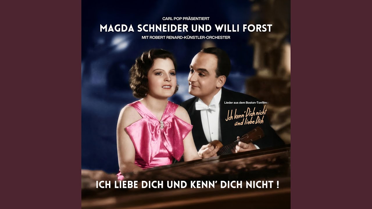 Ich liebe Dich und kenn' Dich nicht ! (2025 Mix)