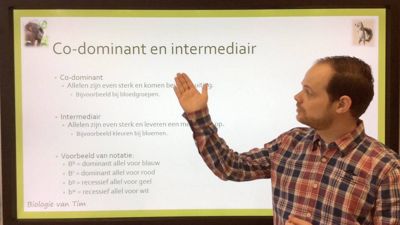 Biologie van Tim - Co-dominant en intermediair