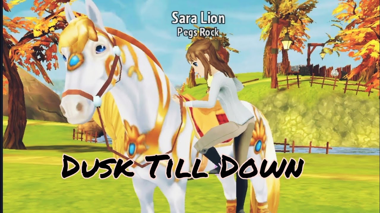 Mini Music video ||Dusk Till Dawn|| Horse Riding Tales |HorseRidingTales Equin