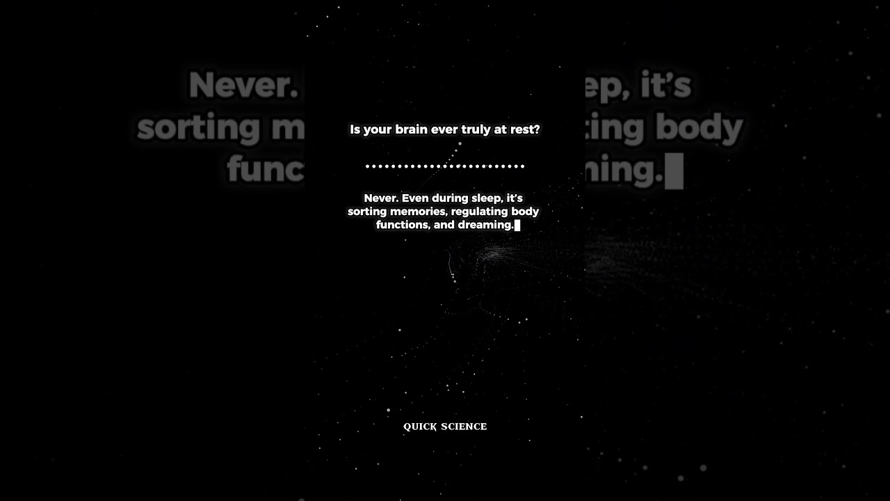 Your Brain Never Sleeps