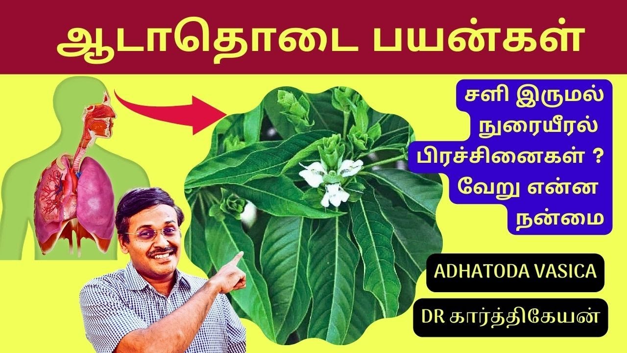 ஆடாதொடை இலை மருத்துவ குணம் | home remedies for cough adhatoda leaf | Doctor Karthikeyan