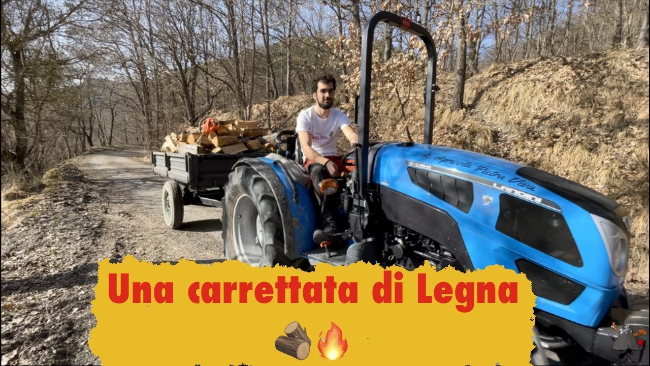 Come sistemare la Legna 🪵 in modo che NON cada!