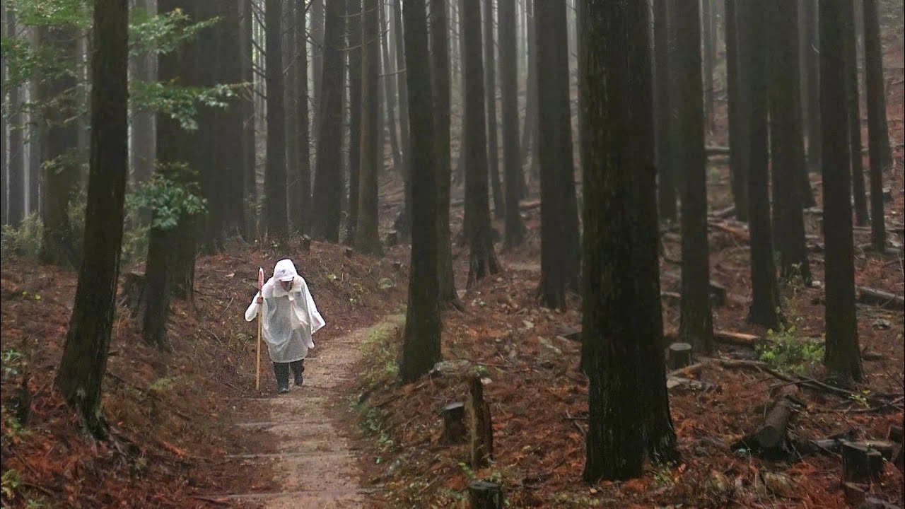 Japan / Shikoku Henro / Hiking Temples 20 - 21 on a rainy day