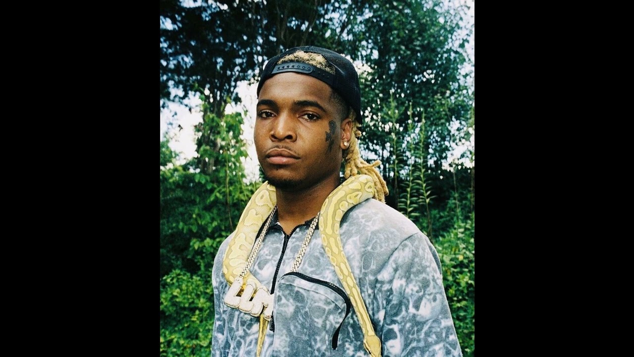 (FREE) Lil Keed x Gunna x Young Thug Type Beat - “Snake”