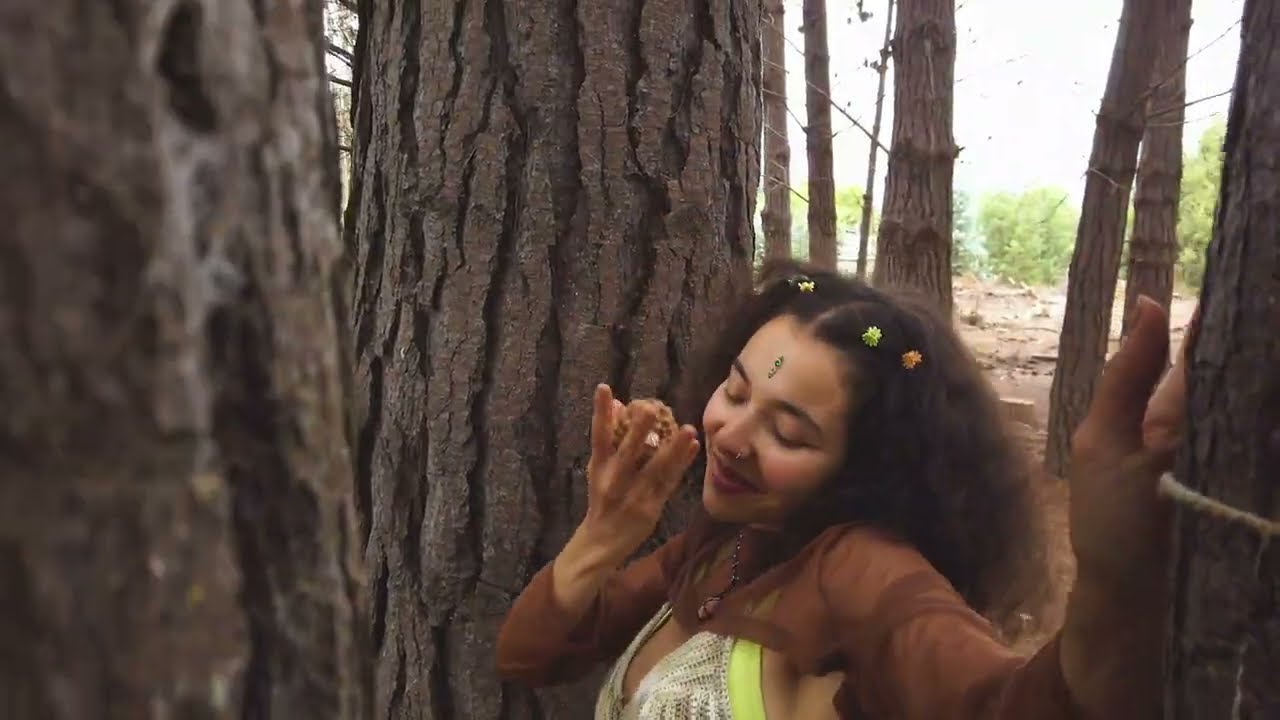 VOZ QUE SANA - ALMEYDA (Video Oficial)