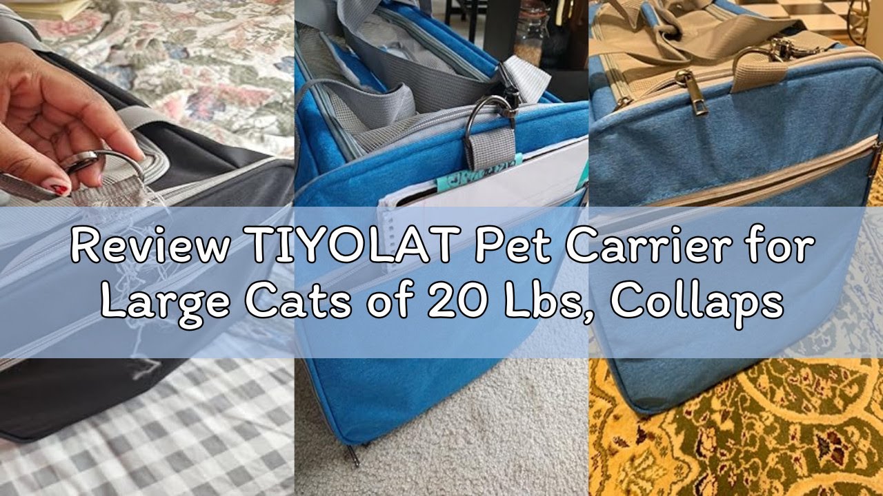 Review TIYOLAT Pet Carrier for Large Cats of 20 Lbs, Collapsible Carrier Bag for Big Cat or 2 Kitten